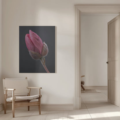 Wandbild Rosa Tulpe 1