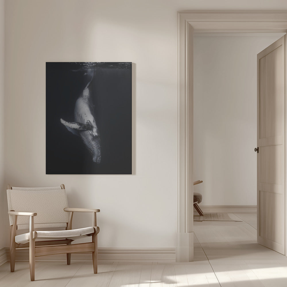 Wall Art-Black Whale