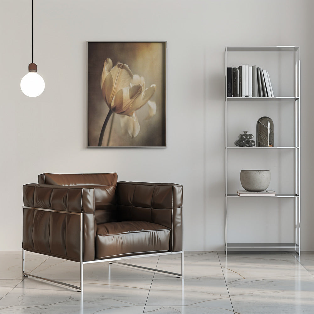 Wandbild Pastelltulpe