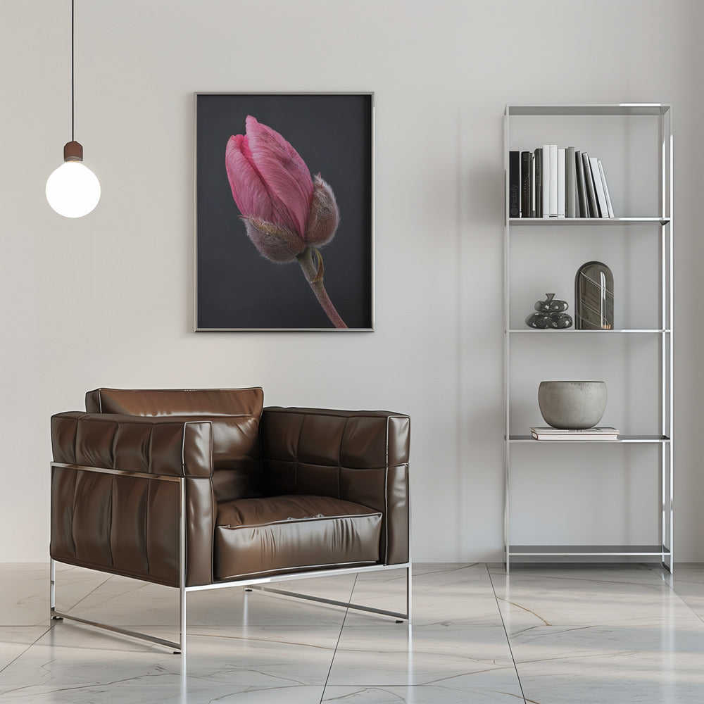 Wandbild Rosa Tulpe 1