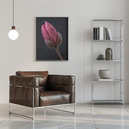 Wandbild Rosa Tulpe 1
