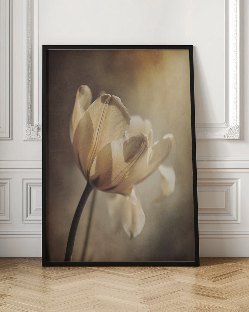 Wandbild Pastelltulpe