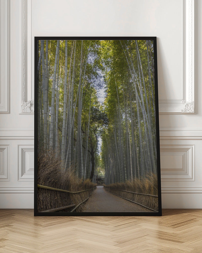 Wandbild Mächtiger Bambuswald von Arashiyama