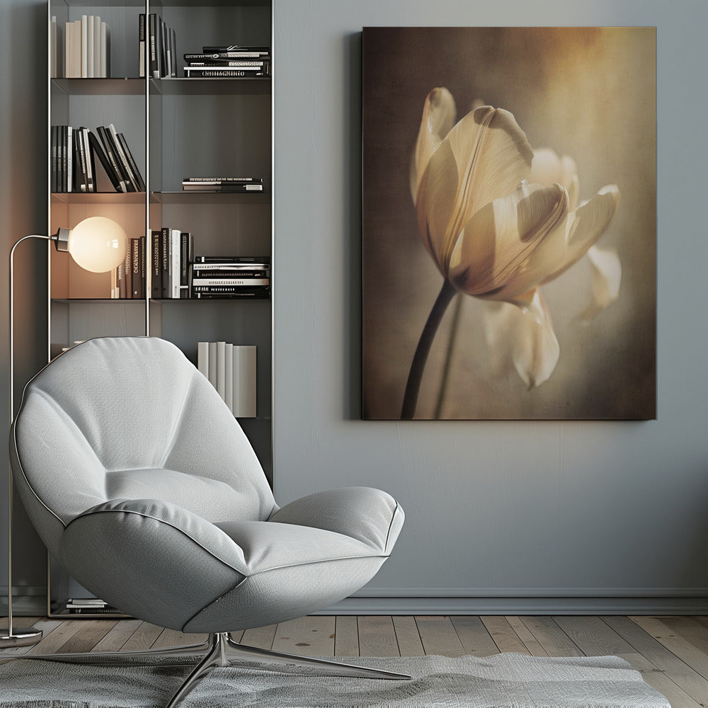 Wandbild Pastelltulpe