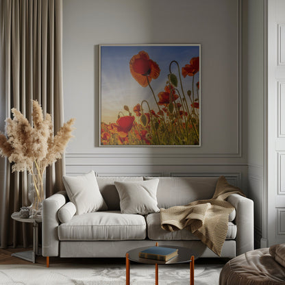 Wandbild Faszination Mohn