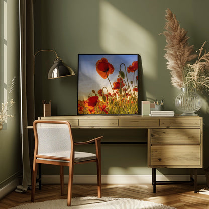 Wandbild Faszination Mohn