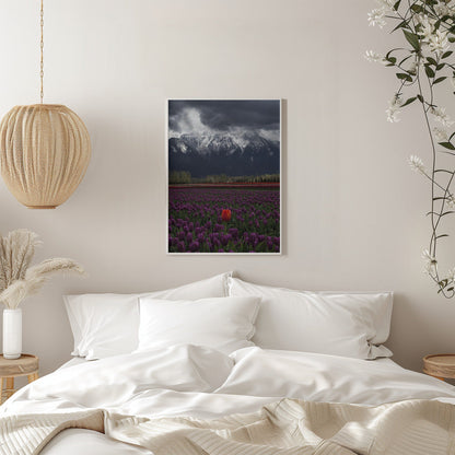 Wandkunst Tulpe in Vancouver, Kanada