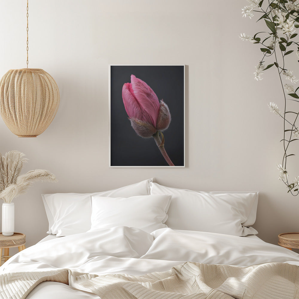 Wandbild Rosa Tulpe 1