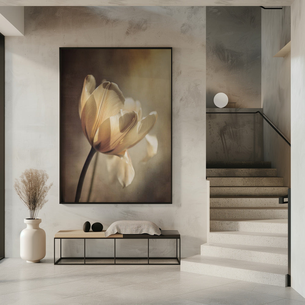 Wandbild Pastelltulpe