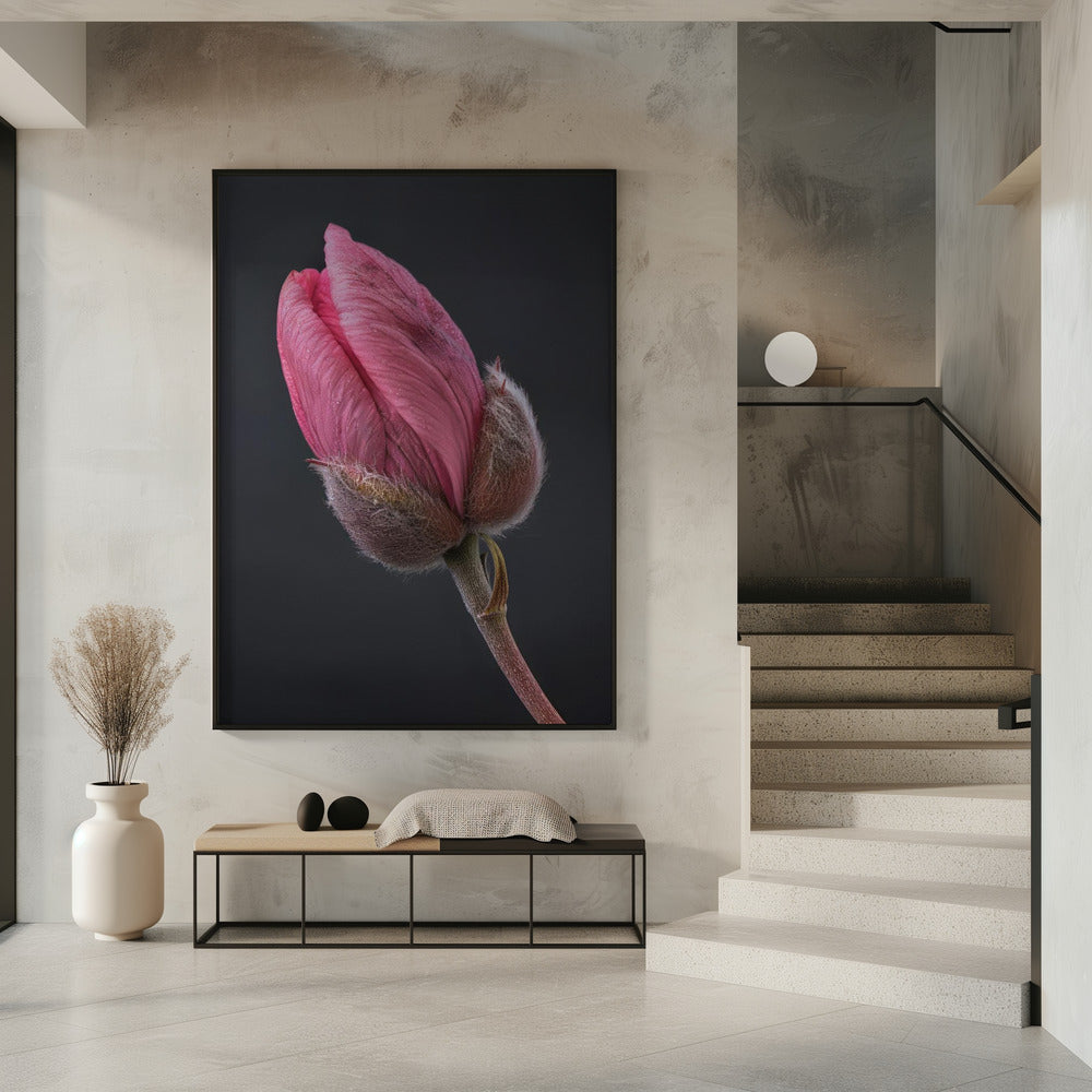 Wandbild Rosa Tulpe 1