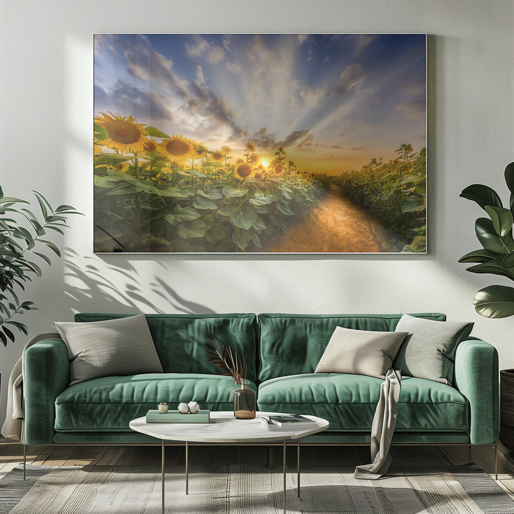 Wall art Path through the sunflower field