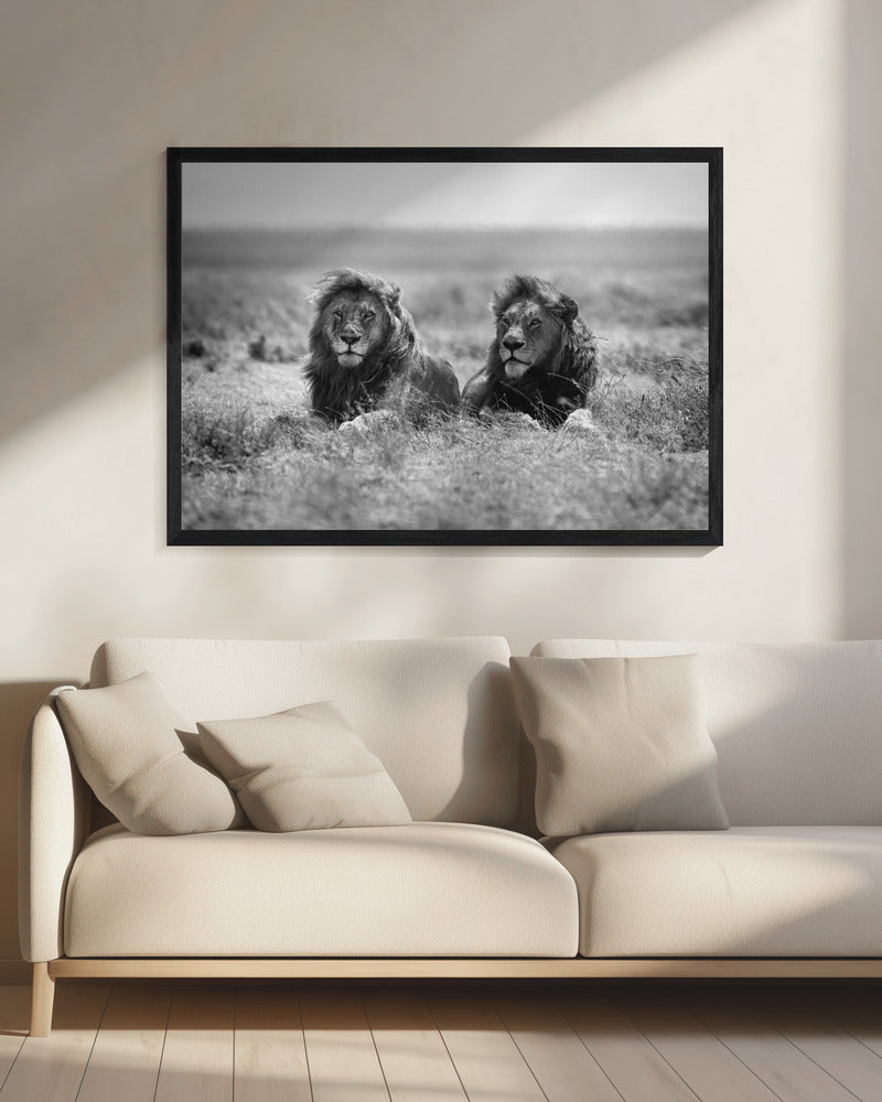 Wandbild Zwei Könige