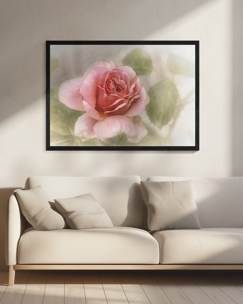 Wandbild glatte Rose