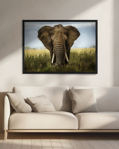 Wandkunst-Begegnungen in der Serengeti. Elefant