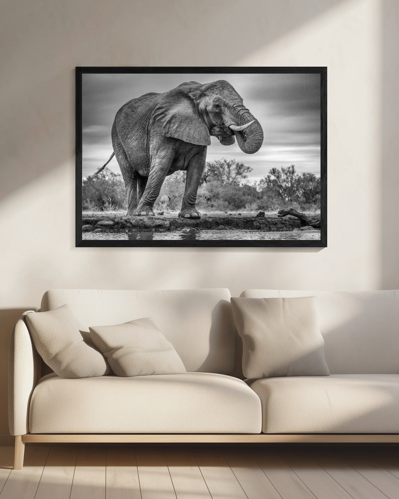 Wandbild Stehend Stolz. Elefant