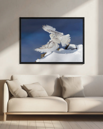 Wandbild Schnee-Eule im Flug