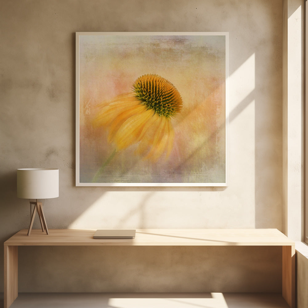 Wandbild Sonnenhut in Gelb
