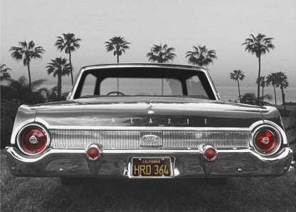 Wandbild Ford Galaxie 500XL