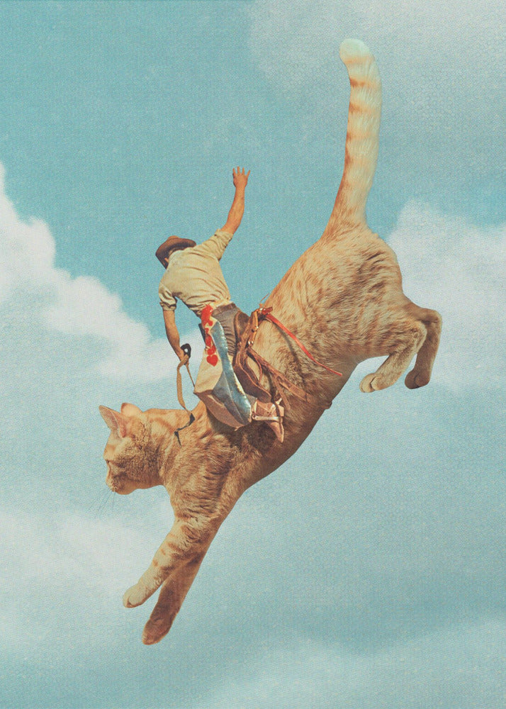Wandbild Meehaw Rodio Katze