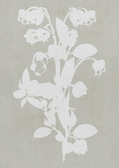 Wandbild Botanische Illustration 4