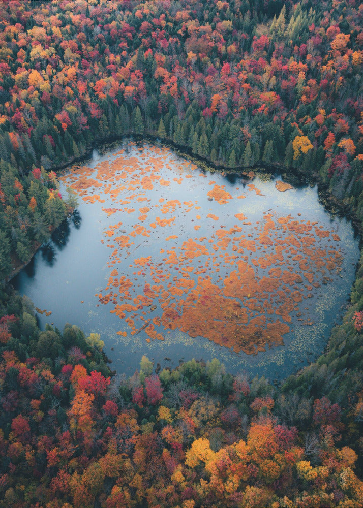 Wandbild Herbst am See