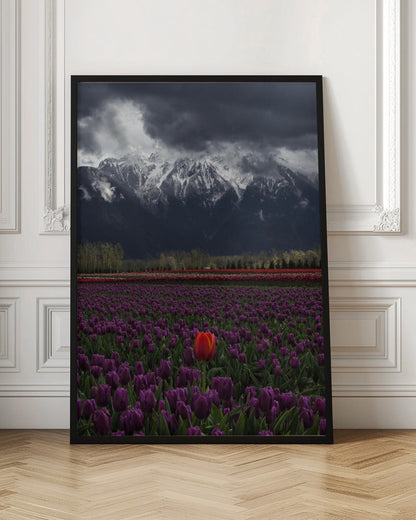 Wandkunst Tulpe in Vancouver, Kanada