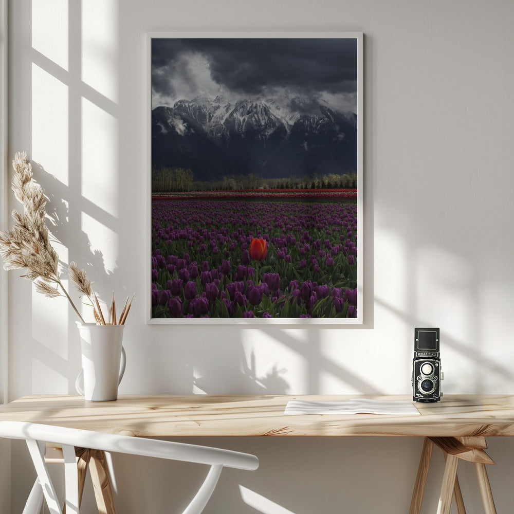 Wandkunst Tulpe in Vancouver, Kanada