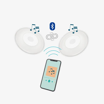 Wally Play Disk<br>プール用Bluetoothトランスミッター